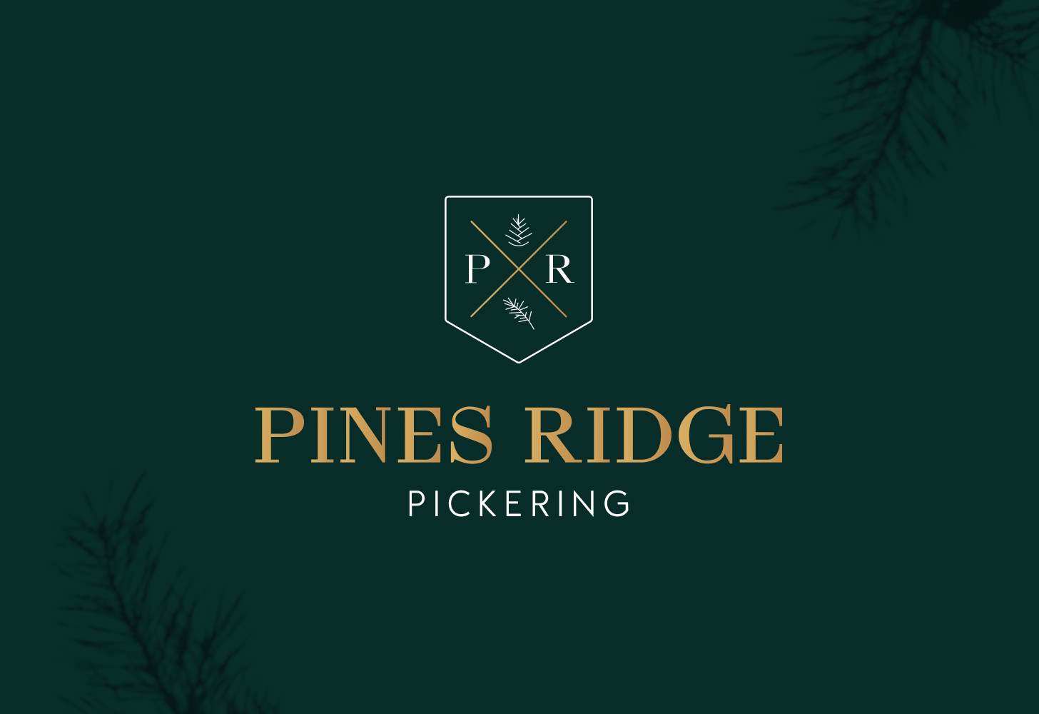 branding and logo design for pines ridge project