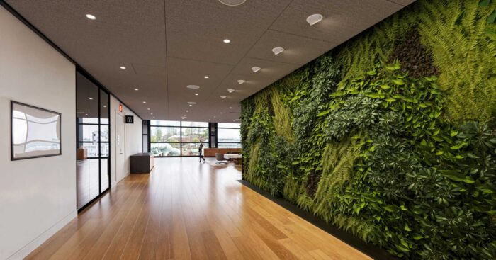 google pear 57 office 3d rendering
