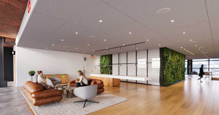 google pear 57 office 3d rendering