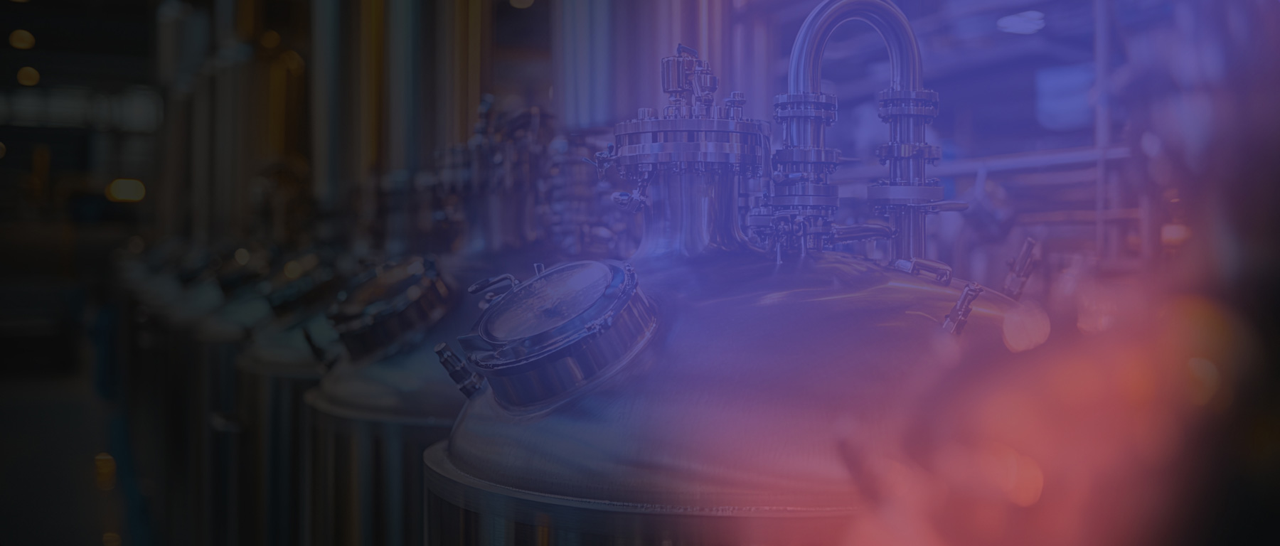 liberation bioindustries website project
